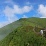 Consectetur adipisicing elit